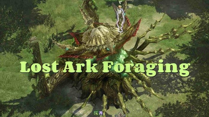 Lost Ark Foraging